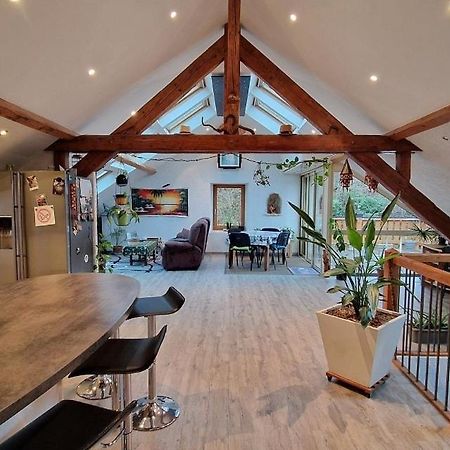 Bel Appartement 120 M² Tres Lumineux Avec Terrasse Morvillars Екстер'єр фото