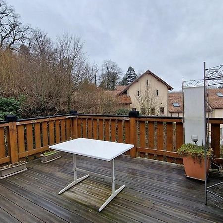 Bel Appartement 120 M² Tres Lumineux Avec Terrasse Morvillars Екстер'єр фото