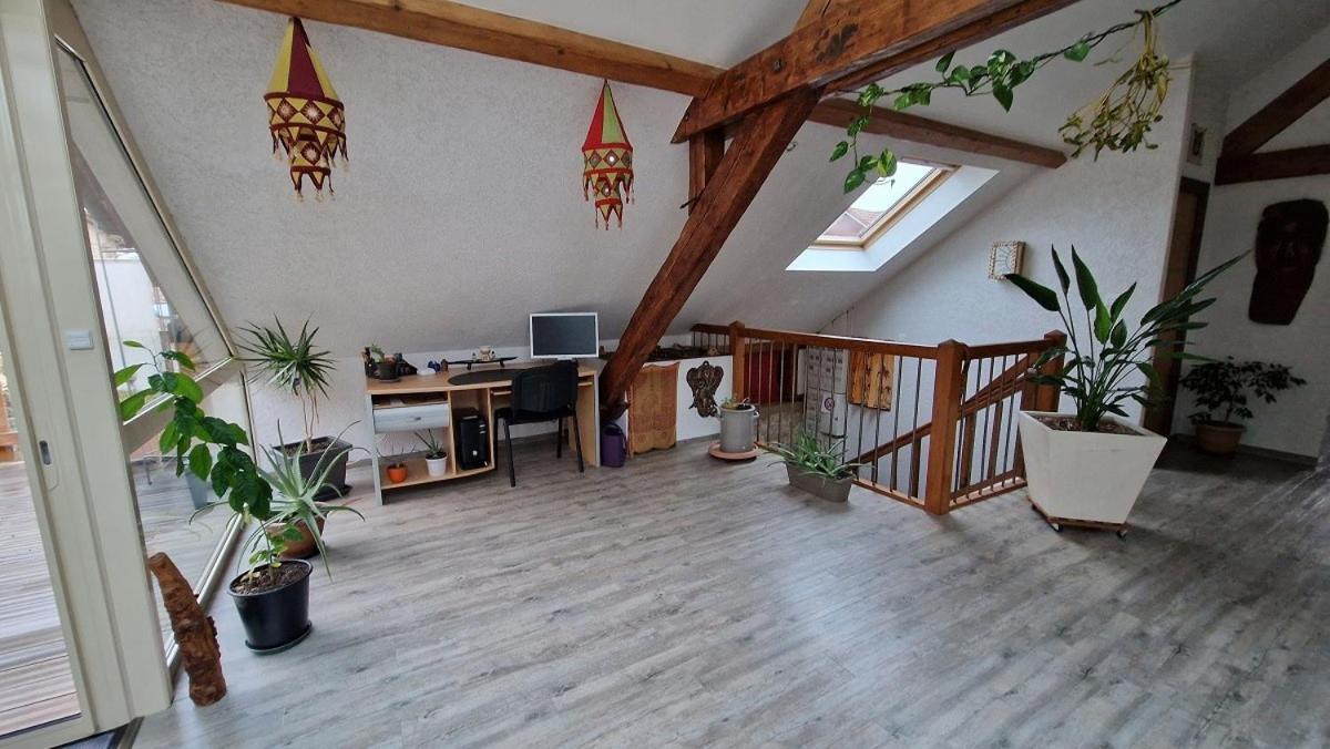 Bel Appartement 120 M² Tres Lumineux Avec Terrasse Morvillars Екстер'єр фото